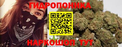 трава Обнинск