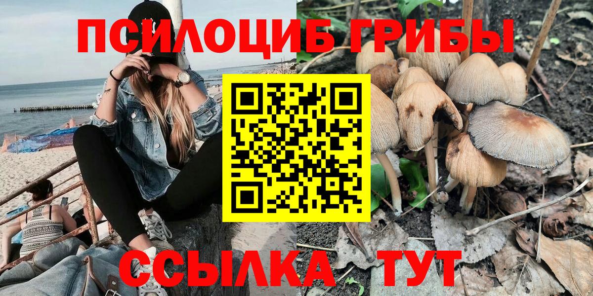 Псилоцибиновые грибы Magic Shrooms  Галлюциногенные грибы прущие грибы  Вход с VPN  Родники 
