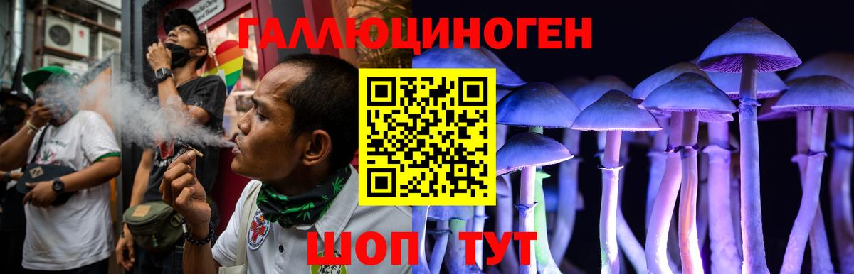 Псилоцибиновые грибы мицелий Родники